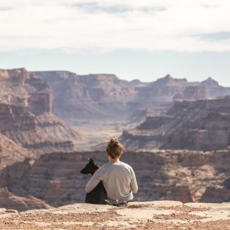 Viagens internacionais com pets: o que é preciso fazer para poder aproveitar as férias com seus melhores amigos?