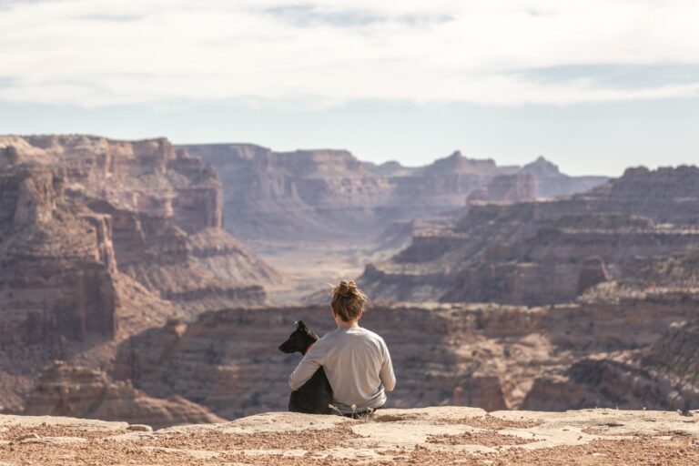 Viagens internacionais com pets: o que é preciso fazer para poder aproveitar as férias com seus melhores amigos?